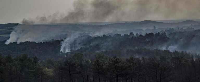 Greece criticized for ‘chronic failure’ to protect nature