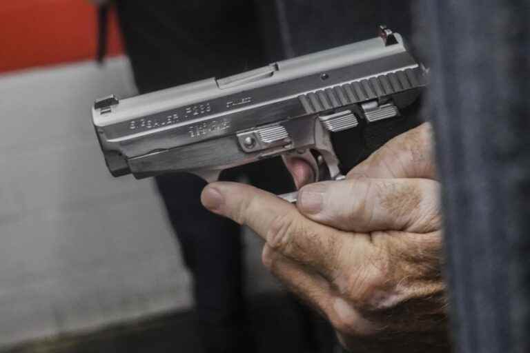 Gun violence |  Importation of handguns banned as of August 19