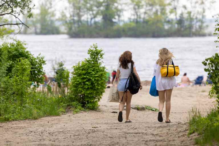 “High contamination” of water |  Cap-Saint-Jacques nature park beach temporarily closed