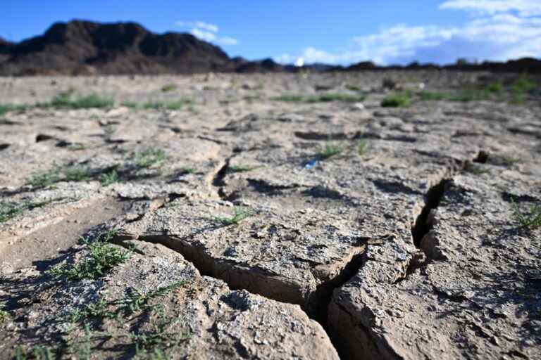 Historical drought |  Some States will have to reduce their water consumption