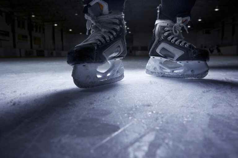 Hockey in the Light of the Social Sciences