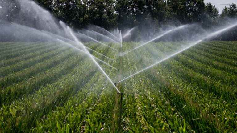 INFOGRAPHICS.  Agriculture, drinking water, nuclear power plants… How water is consumed in France in four graphs