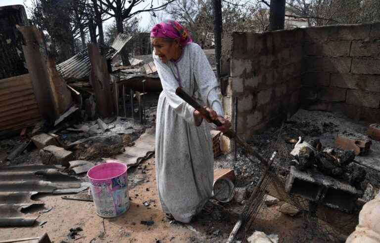 In Algeria, most of the fires have been brought under control