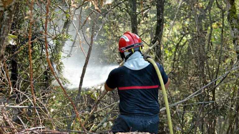 In Aveyron, the fire in the Gorges du Tarn is fixed