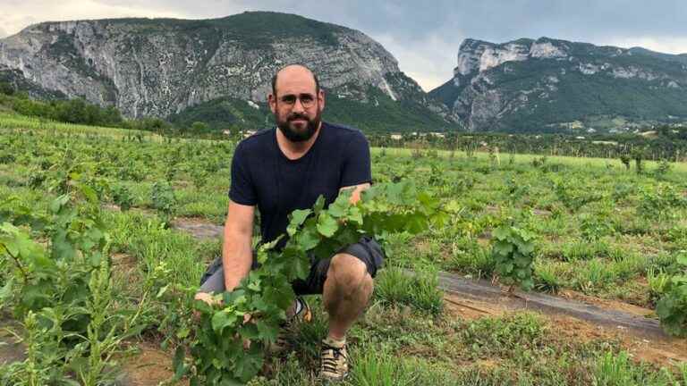 In Royans, the Mayoussier estate revives an old variety of vine