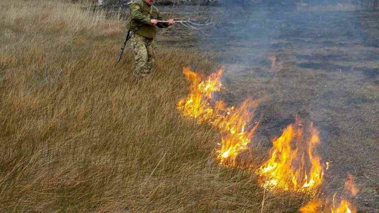 In Ukraine, the war causes environmental devastation, another “catastrophe” for people and wildlife