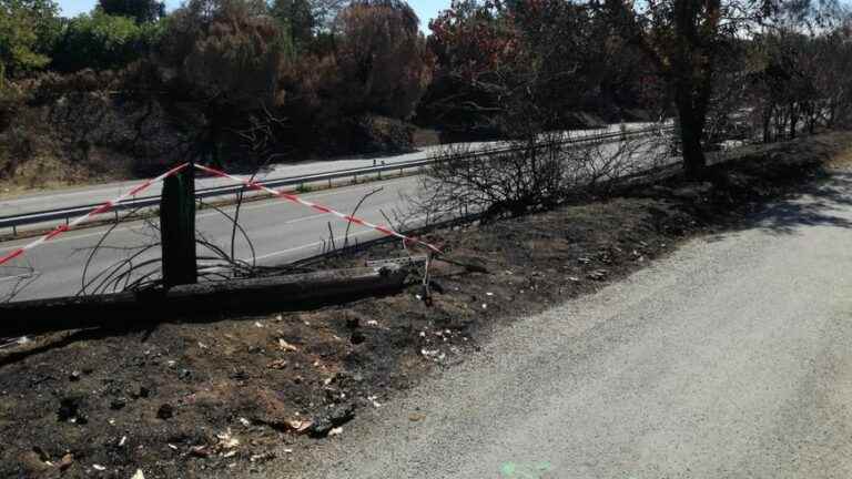 In Verniolle, Ariège, life after the fire