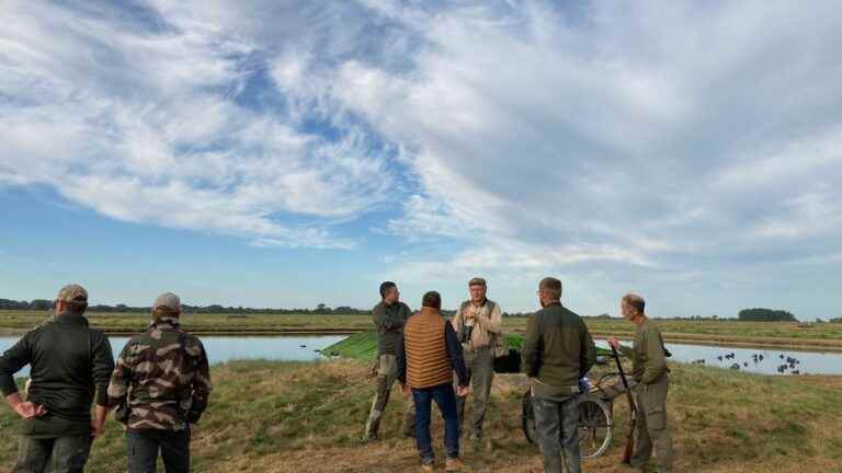 In the Baie de Somme, let’s go for waterfowl hunting