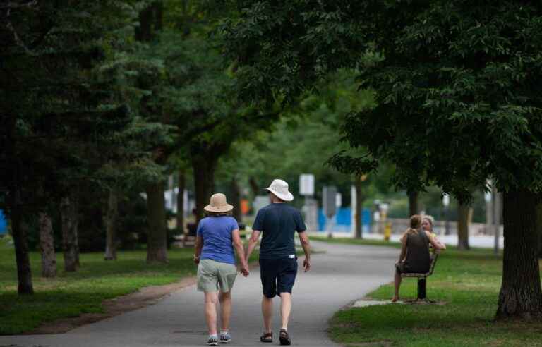 Incomes of Franco-Ontarians remain higher than those of Anglophones