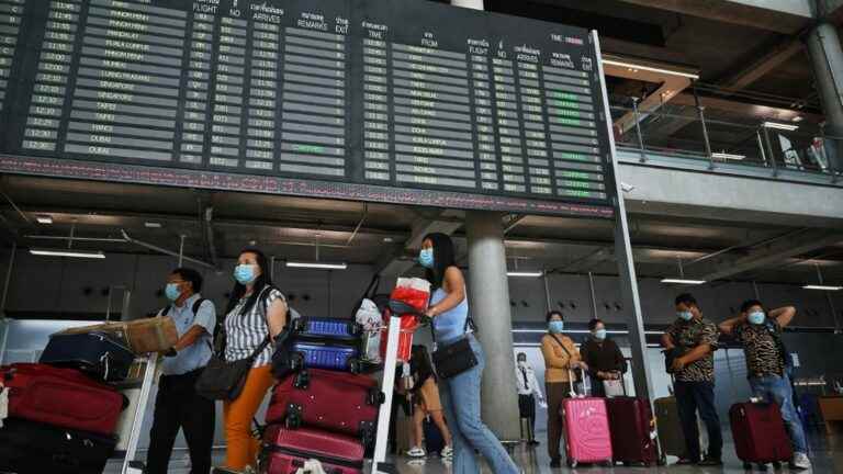 Indian man arrested at Bangkok airport with 17 wild animals in his suitcases