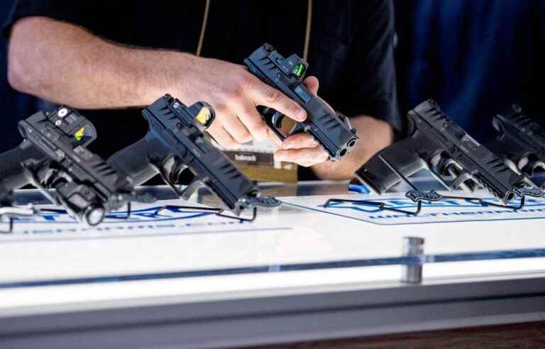 Interim import ban on handguns takes effect