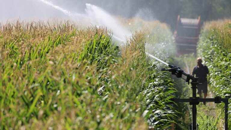 Is drinking water used for irrigating fields and for flushing our toilets?