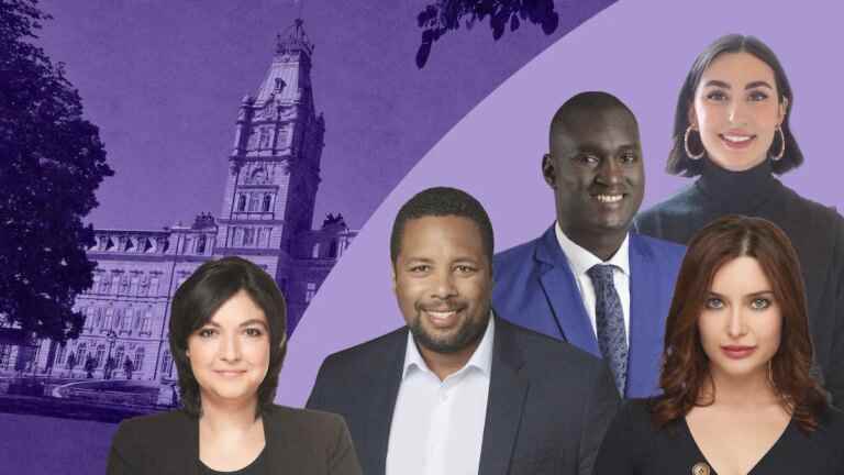 Is the National Assembly too white?  Reflections from five candidates