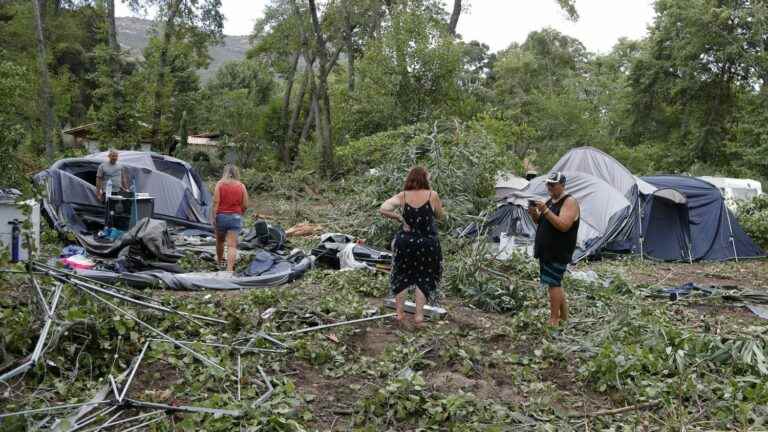 “It was a total panic, I’ve never seen that here”, say campers