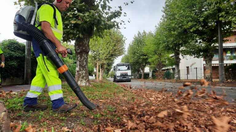 “It’s already autumn”, the dead leaves are picked up by the shovel