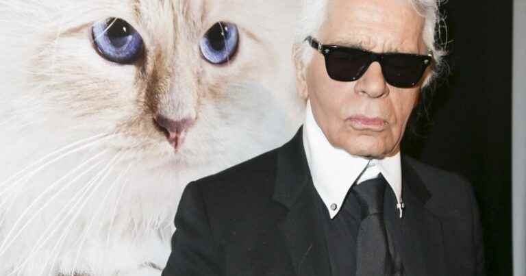 Jet, champagne and gifts, Choupette (Karl Lagerfeld’s cat) leads the good life!