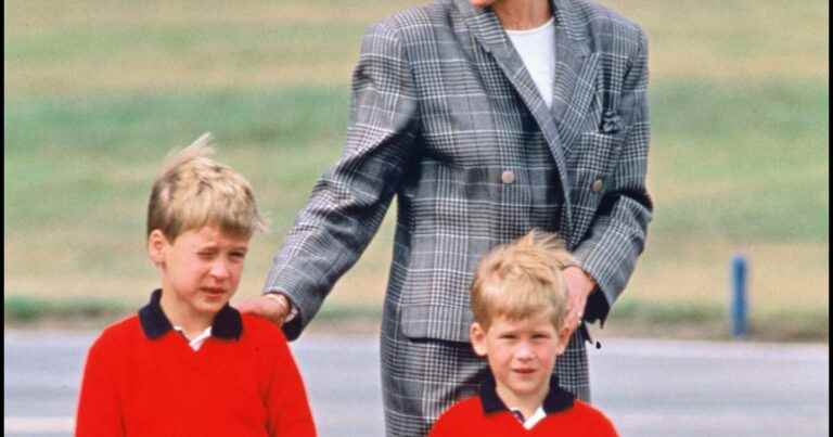 Lady Diana: She wanted to move without William and Harry, revelations