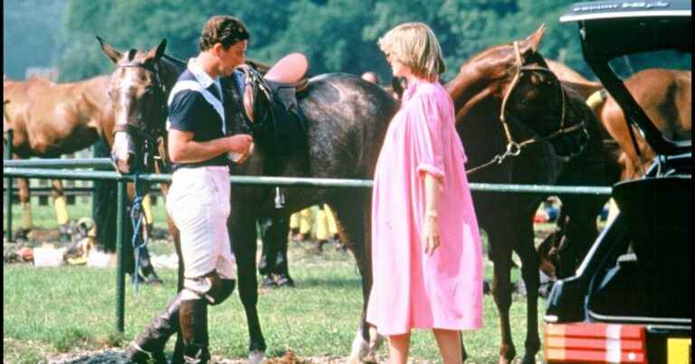 Lady Diana humiliated: this gift from Charles to his mistress Camilla who had made him scream