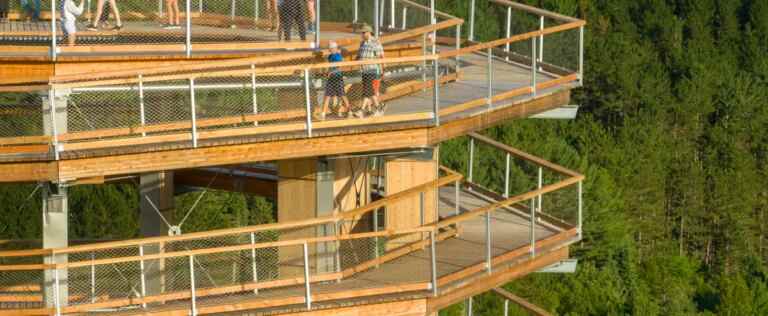 Laurentides: an aerial trail in the forest and a 12-storey tower to observe nature