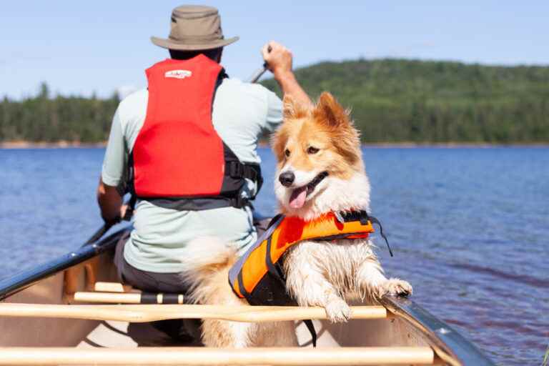 Lillie in a canoe |  The Press