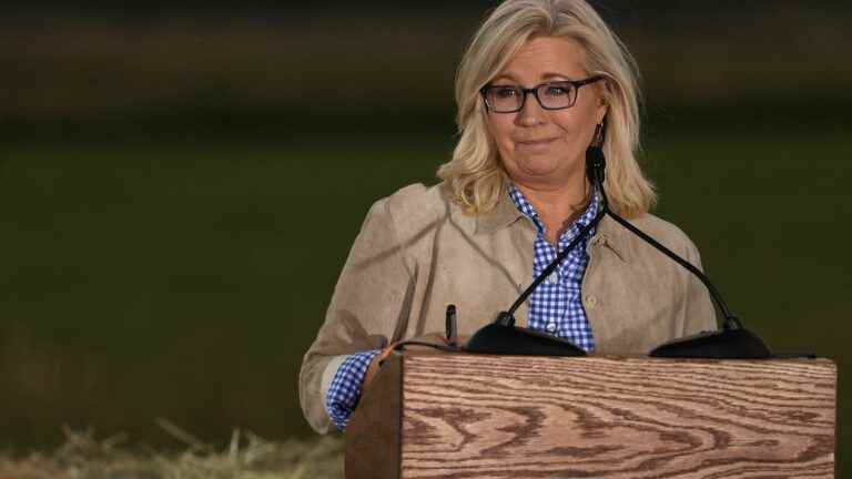 Liz Cheney loses Republican primary in Wyoming