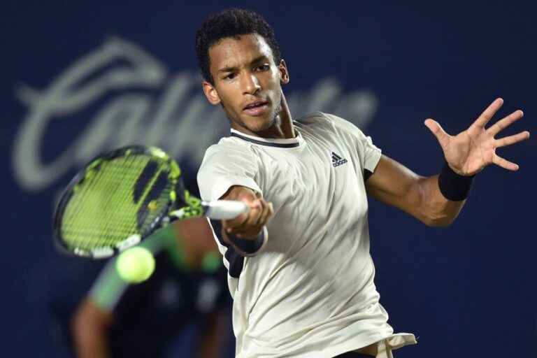 Los Cabos Open |  Félix Auger-Aliassime eliminated in the semi-finals