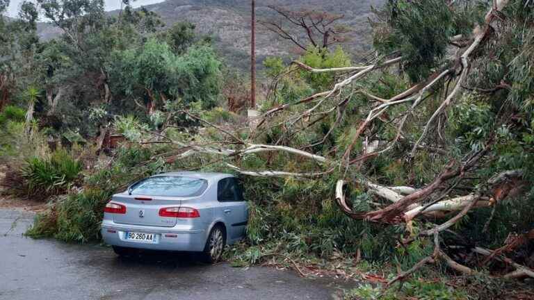 Manchois lived through the hurricane in Corsica