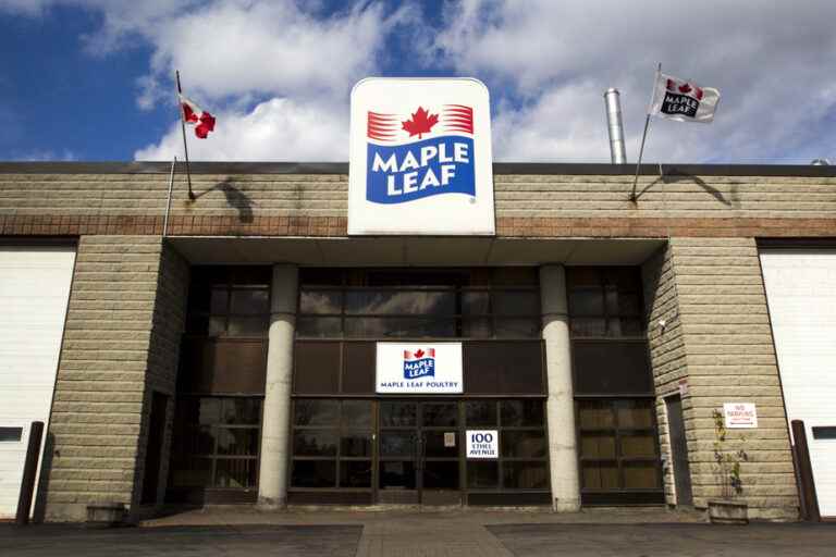 Maple Leaf Foods |  Disappointing second-quarter results drag stock down