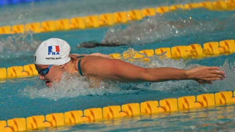 Marie Wattel vice-champion of Europe in the 100m butterfly