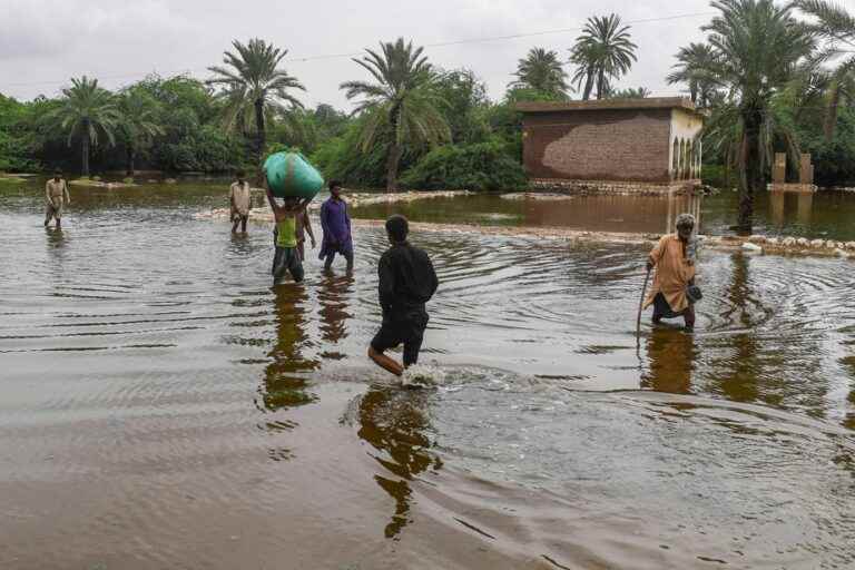 Monsoon rains |  State of emergency declared in Pakistan