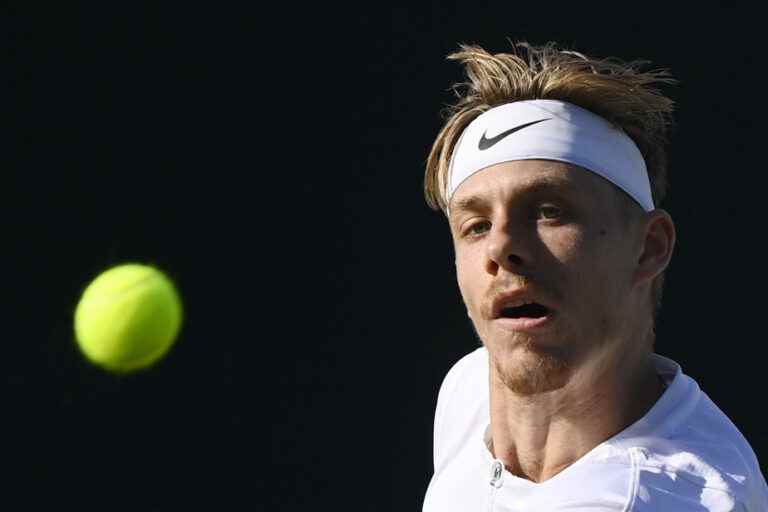 National Bank Open |  Shapovalov is ready for the challenge