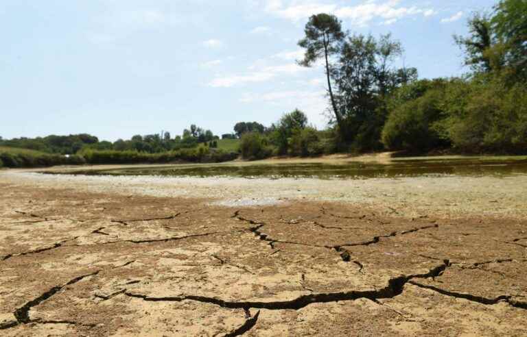 New heat wave in France and Spain