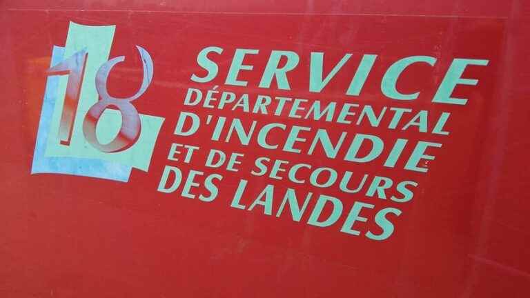 New outbreak of fire in the Landes, “violent” fire in Vielle-Soubiran