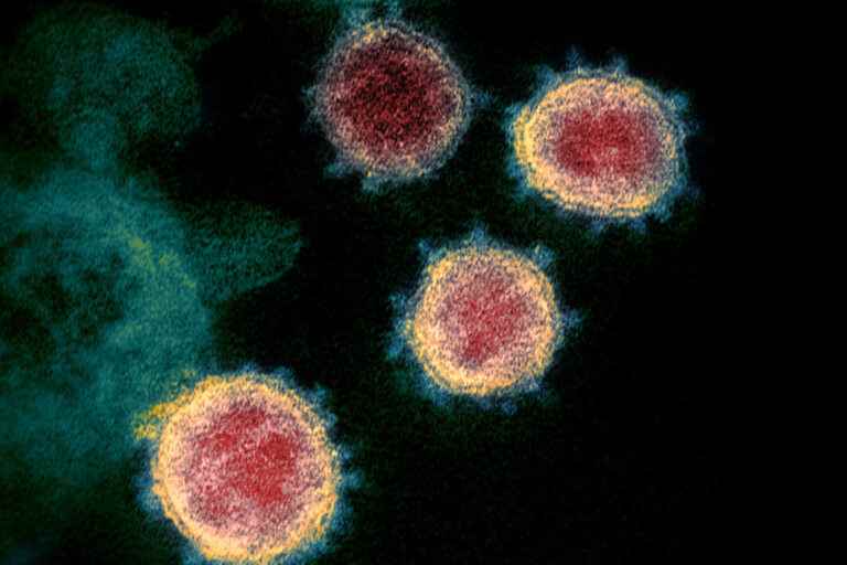 New treatments could emerge from a weak point in the virus