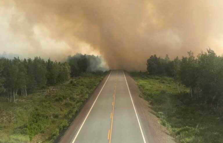 Newfoundland declares state of emergency over wildfires