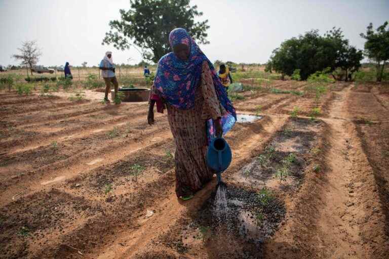 Niger decides to cause rain to ward off the specter of drought