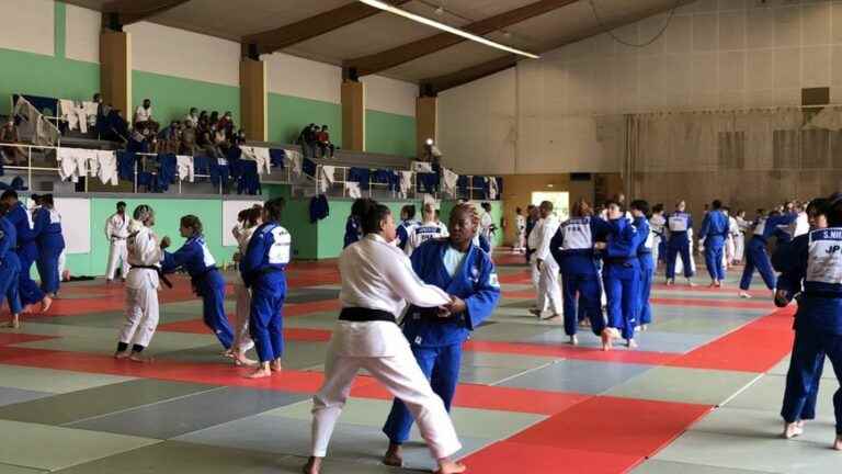 Normandy, rear base of the French judo team