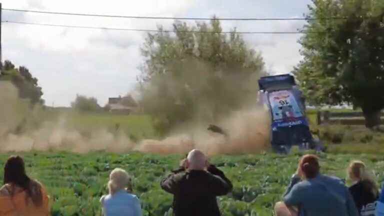 Northern driver Adrien Fourmaux retires after going off the road at the Ypres rally