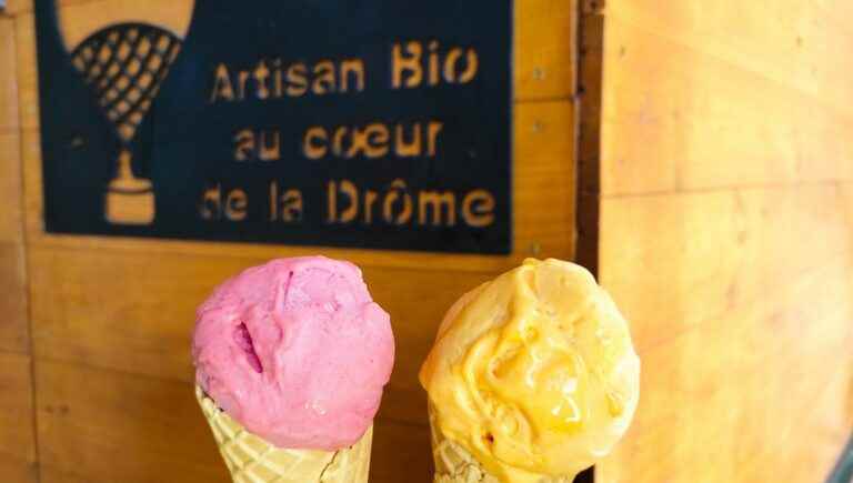 Once upon a time there were Merlin ice creams and sorbets near the Saou forest