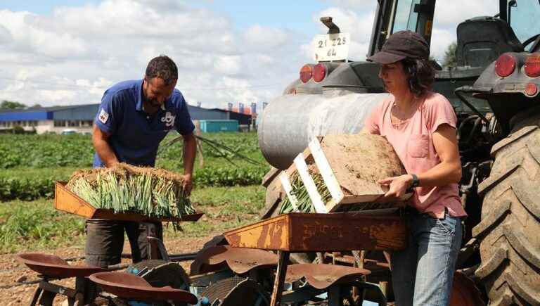 Organic products from Gaec Ferme Loustau