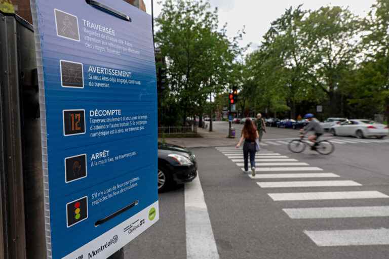 Pedestrian Safety |  A new campaign deemed “infantilizing”