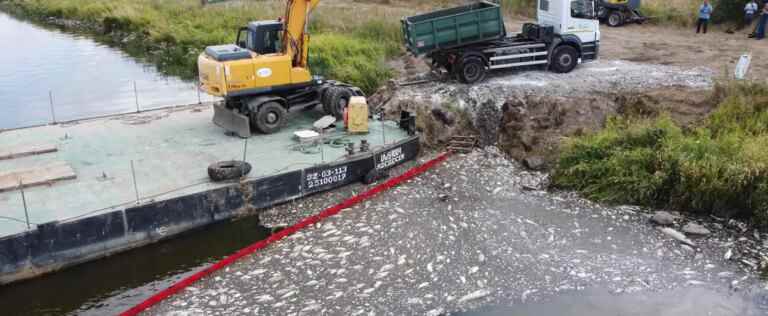 Pollution of the Oder River: 100 tonnes of dead fish recovered