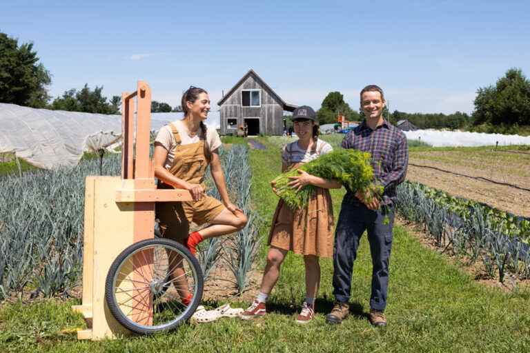 Portrait of a farmer |  Carrots take root