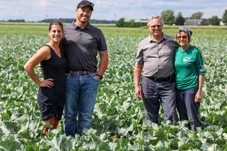 Portrait of a farmer |  Grow organic wholesale