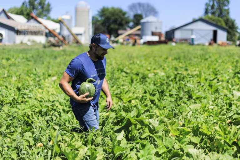 Portrait of a farmer |  The crazy farmer