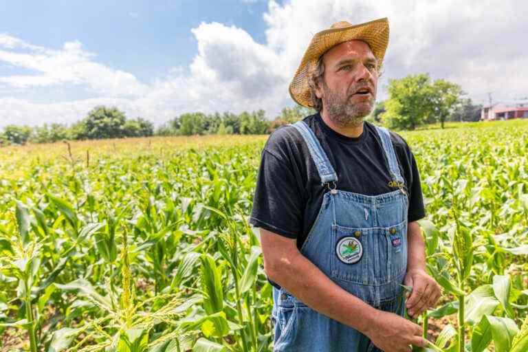 Portrait of a farmer |  The one and only Mede Langlois