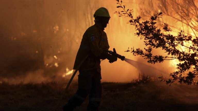 Portugal placed on alert and a northern region still ravaged by flames