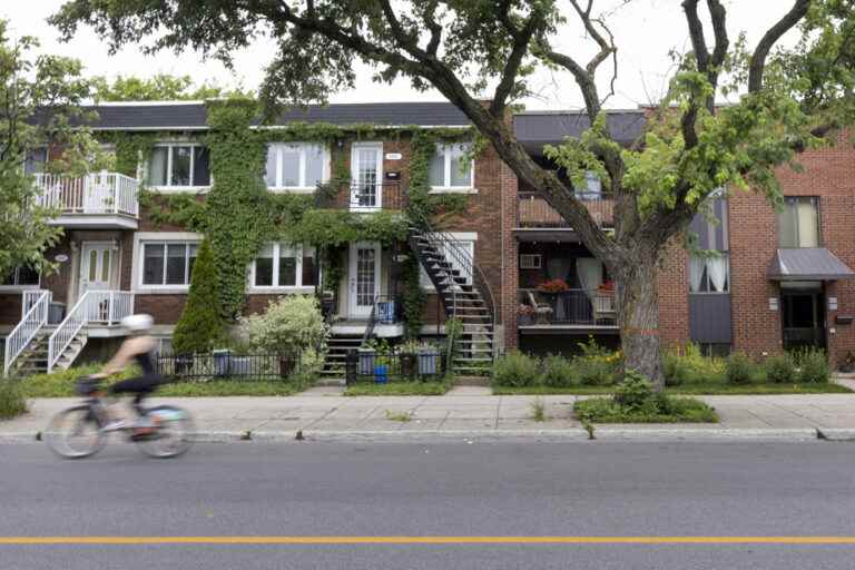 Property assessment roll |  Towards a 30 to 40% increase in Montreal