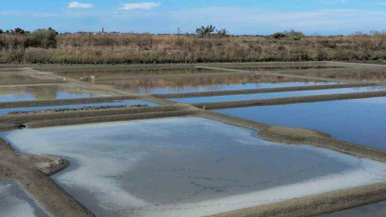 Proud of here and Guérande salt