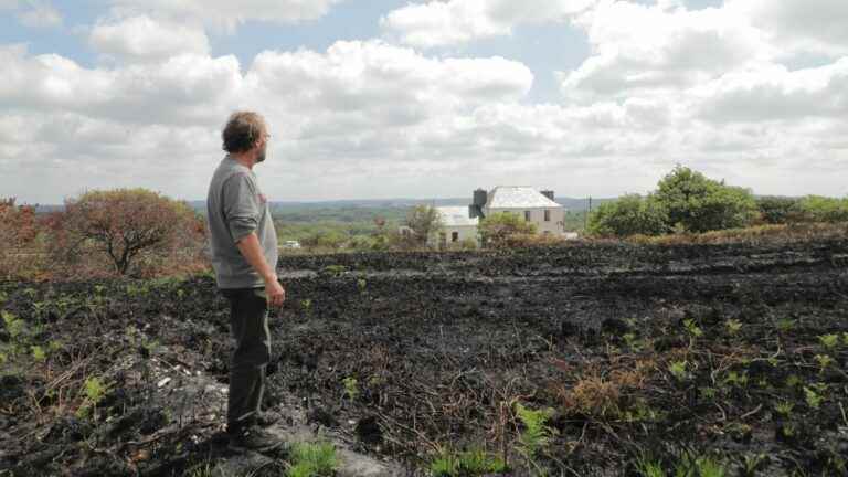 REPORTAGE.  Fire, drought, lack of water… In Brittany, the village of Botmeur caught up in global warming